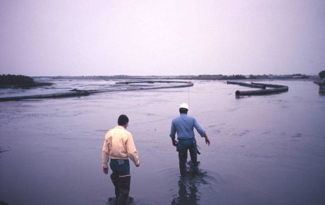 The Greenhill/East Timbalier dredging operation -- walking on newly created land Picture
