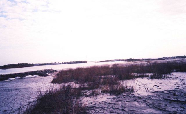 The Greenhill/East Timbalier dredge flow into natural marsh Picture
