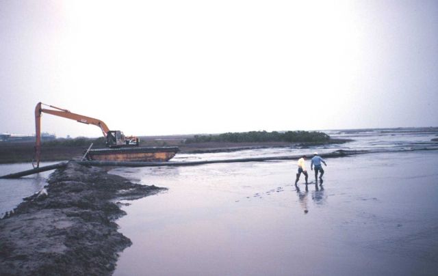 The Greenhill/East Timbalier dredge deposition -- backhoe is used to move pipe to evenly distribute the dredge material Picture