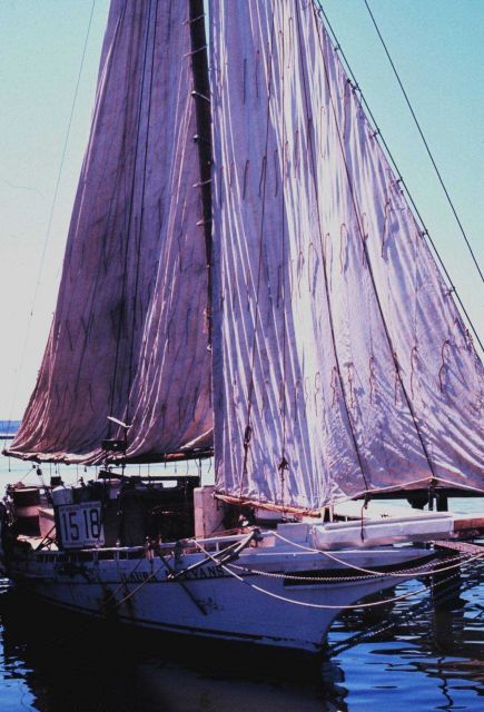 Sailing oyster dredgers drying their sails alongside the dock. Picture