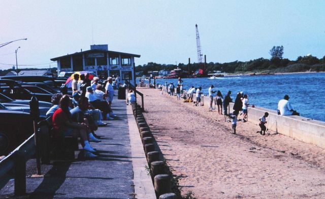 People fishing along Manasquan Inlet Picture