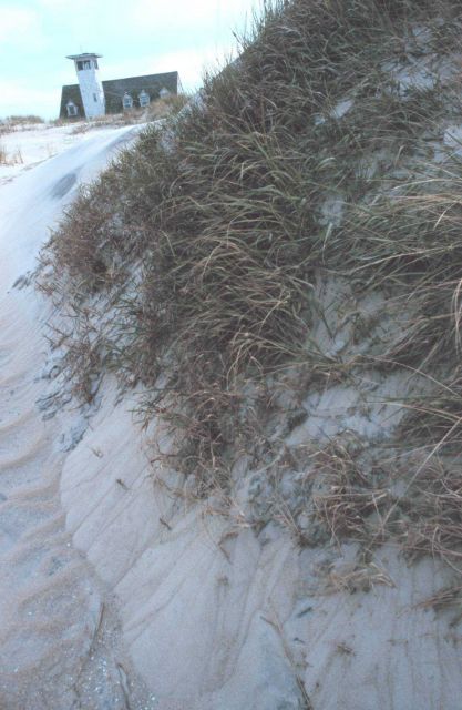 Wind-swept dunes near the abandoned Coast Guard Station Picture