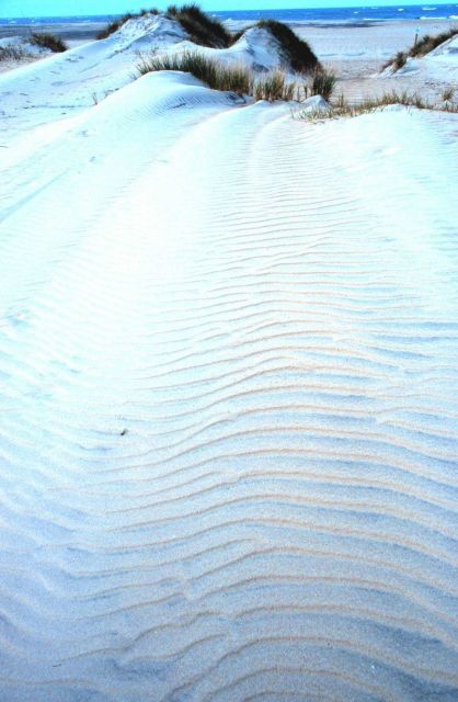 Wind-swept dunes near the abandoned Coast Guard Station Picture