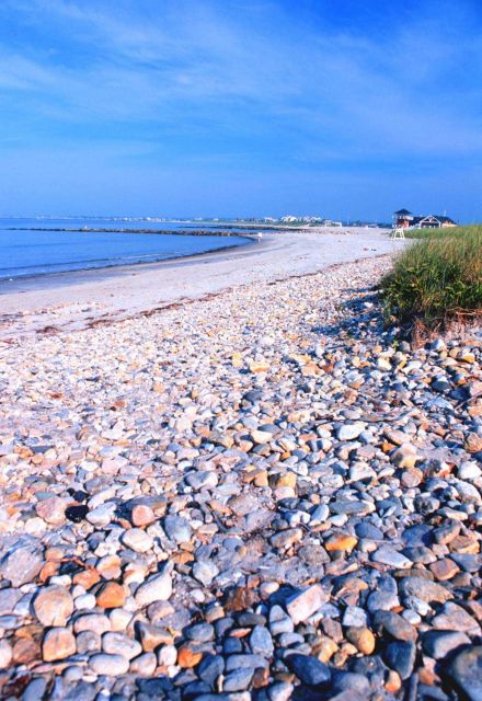 A pebble and sand beach near the port of Galilee Picture