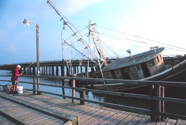 They say that fish congregate around wrecks - a fisherman trying his luck next to a floating wreck. Picture