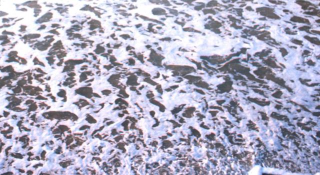 Patterns in the surf at Edwin S Picture