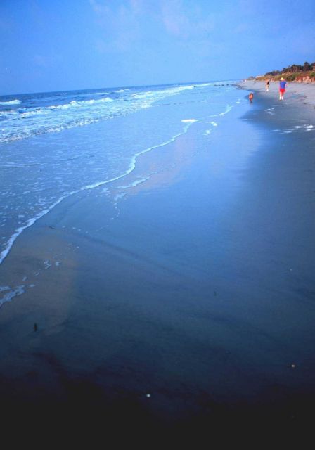 Gentle surf on the Folly Island Beach Picture
