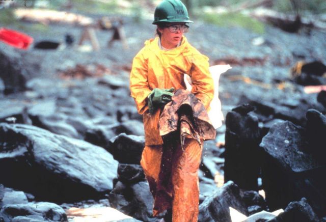 Worker in oiled intertidal zone Picture