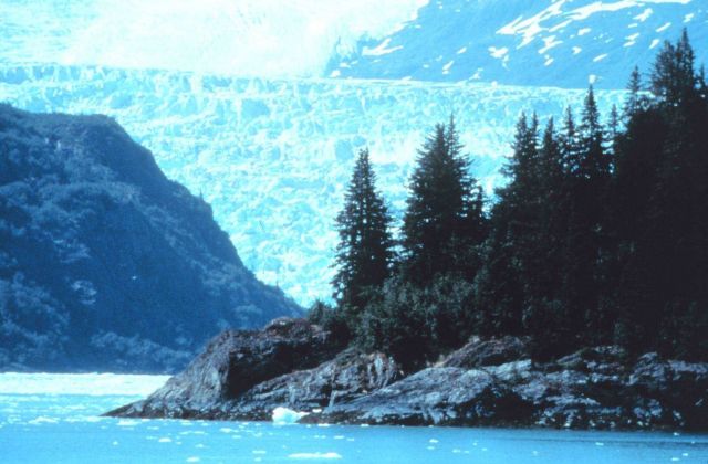 A glacier looming above a rocky point Picture