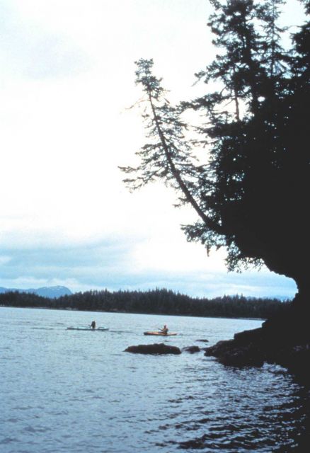 Kayakers passing a rocky point Picture