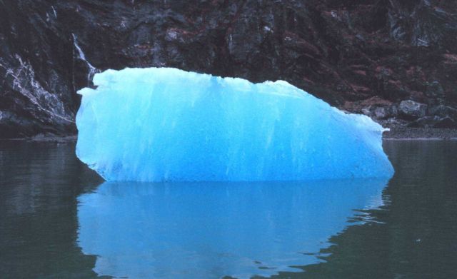 A bergy bit floating quietly in Tracy Arm Fjord Picture