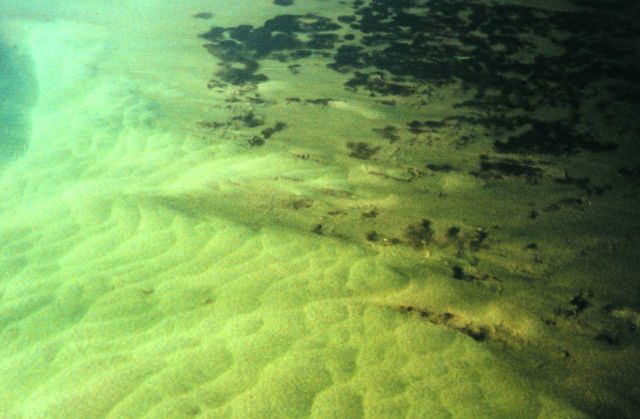 Giant sandwaves as seen from NOAA helicopter during SHOALS Lidar survey. Picture