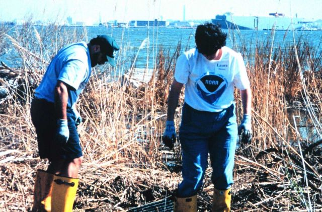 Volunteers helping clean up the wetlands and waterfront area around Fort McHenry in Baltimore Harbor. Picture
