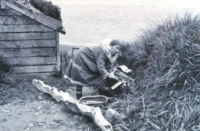 Eskimo woman stringing fish to dry Picture
