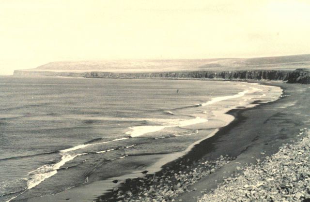 Looking toward Tolstoi Rookery on St Picture