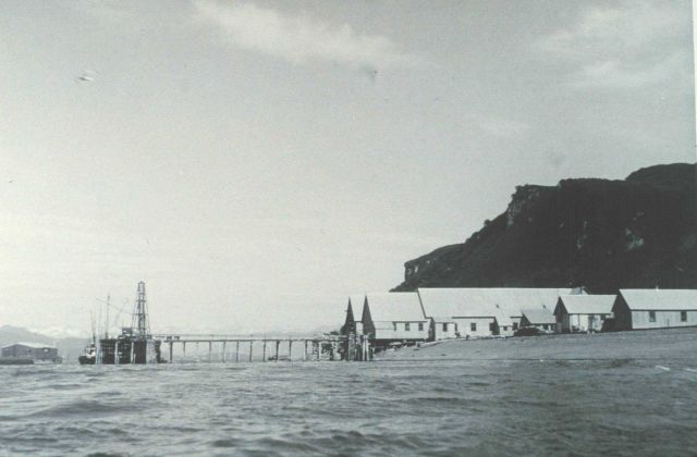 The cannery on Chisik Island Picture