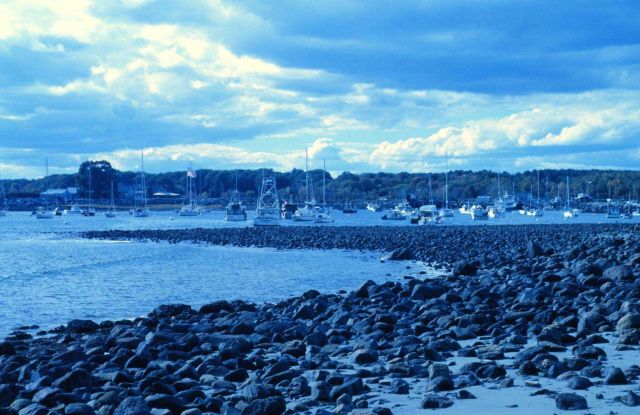 Cobble beach at Odiorne Point State Park. Picture