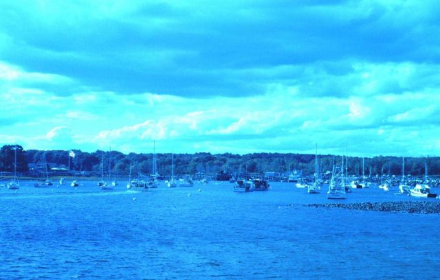 A view of the harbor at Odiorne Point State Park. Picture