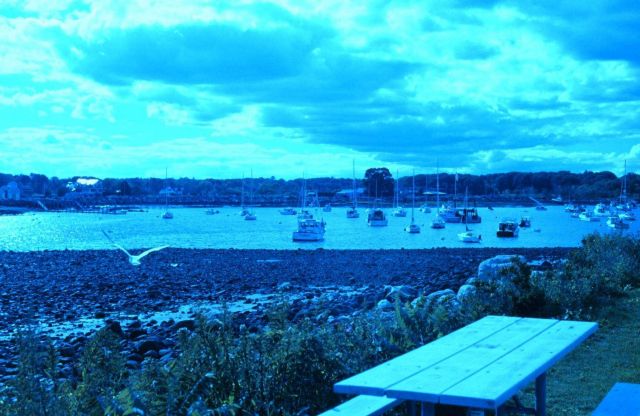 A view of the harbor at Odiorne Point State Park. Picture