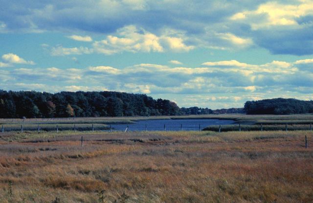 A view of wetlands at Great Bay National Estuarine Research Reserve. Picture