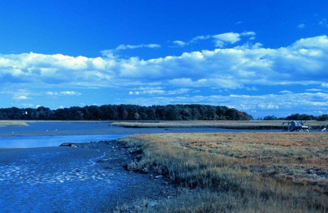 A view of wetlands at Great Bay National Estuarine Research Reserve. Picture
