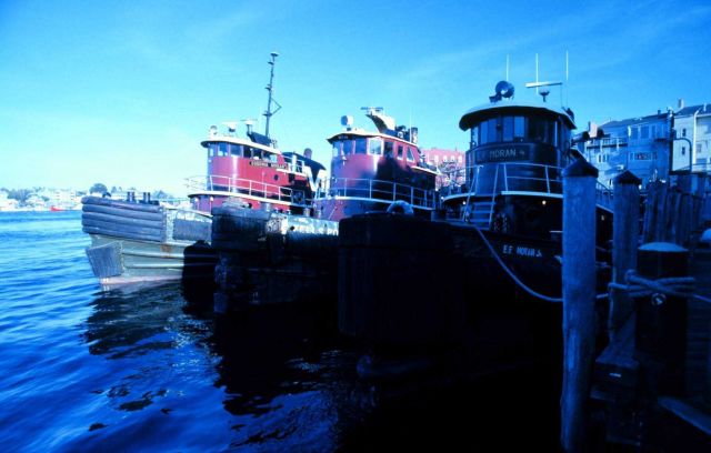 Portsmouth Harbor tugboats. Picture