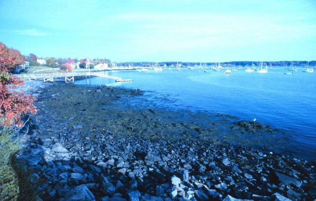 A view in the Portsmouth Harbor area Picture