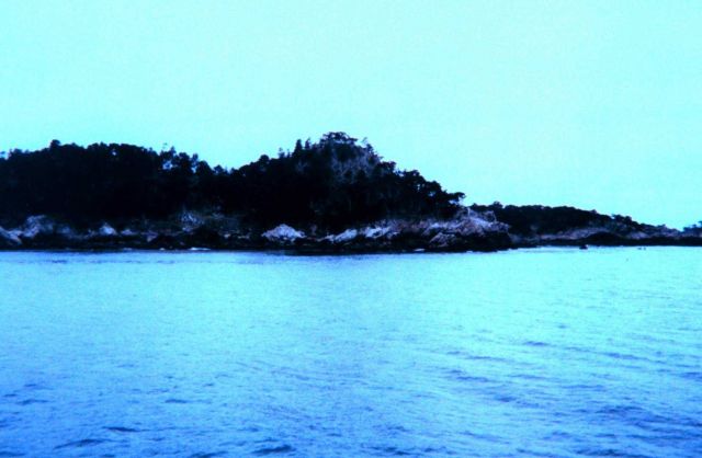 Portion of composite image of Point Lobos. Picture