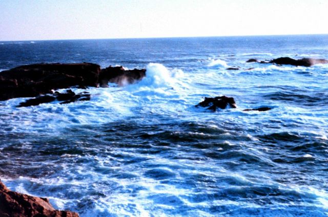 The meeting of sea and land at Point Lobos. Picture