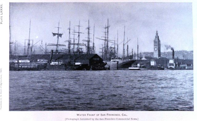 San Francisco waterfront as seen in: 