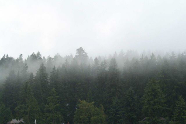 Low rain clouds as seen looking across Gig Harbor. Picture