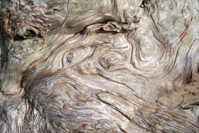 Driftwood patterns Picture