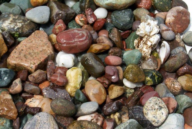 Random rocks and barnacle picked up on the beach at Gig Harbor. Picture