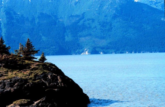 Coastal scene near Seward Picture