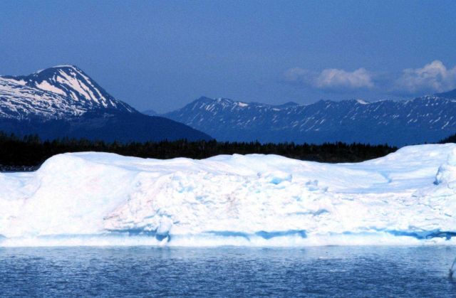 Iceberg in Seward area Picture