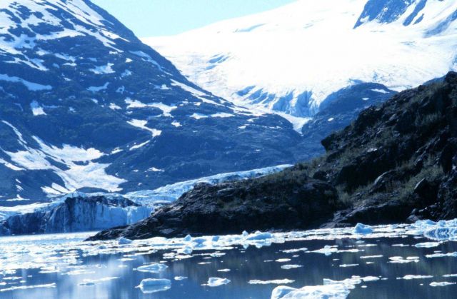 Glacier and small icebergs in Kenai Fjords Picture