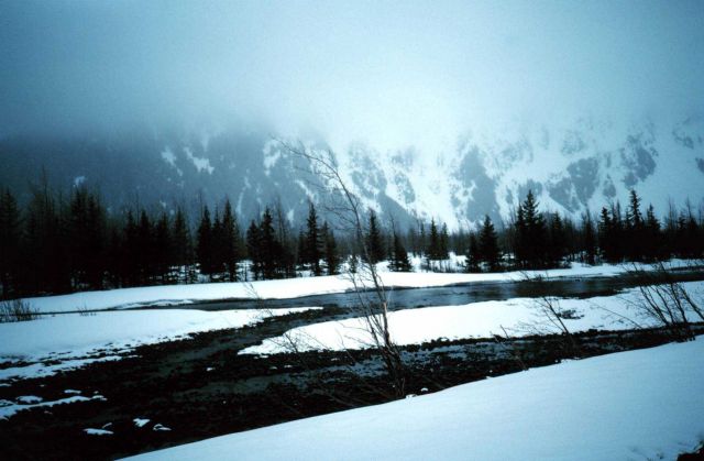A scene along the Seward Highway Picture