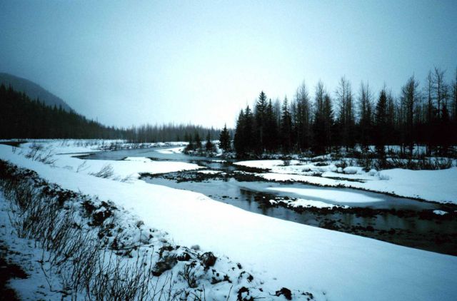A scene along the Seward Highway Picture