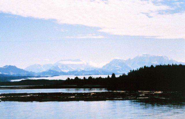 Log raft in Icy Bay area Picture