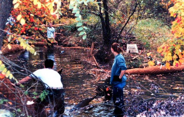 Installing Biologs to abate erosion problems along Spa Creek. Picture
