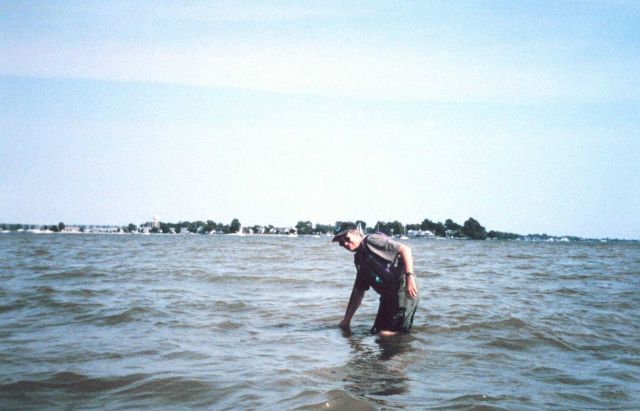 Searching for submerged aquatic vegetation (SAV's) in the Tred Avon River Picture