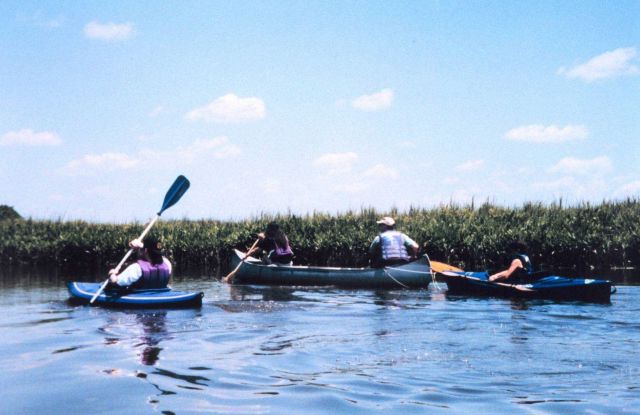 National Oceanographic Data Center employees at sea - kayaking along the Patuxent River. Picture
