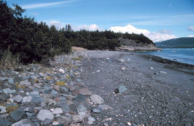 Photo -2 of Mount St Picture