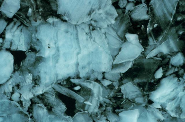 Glacial ice chunks in Icy Bay. Picture