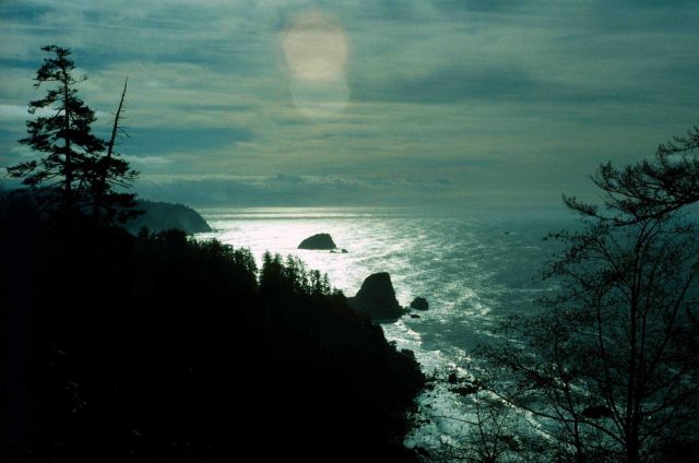 Del Norte County coastline just south of the California-Oregon border. Picture