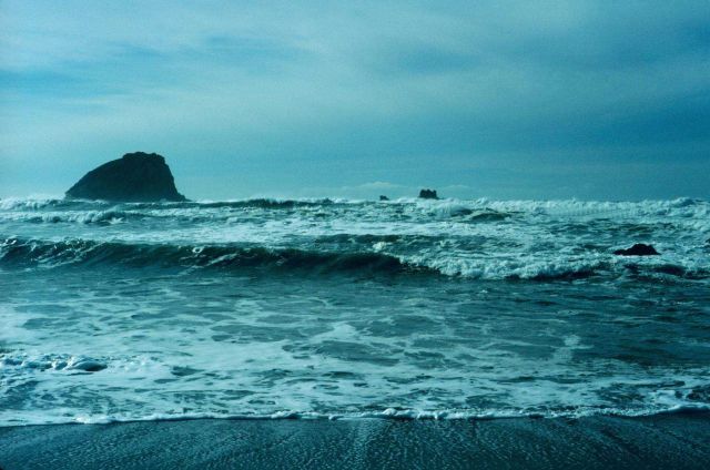 Probably northern California or southern Oregon Picture