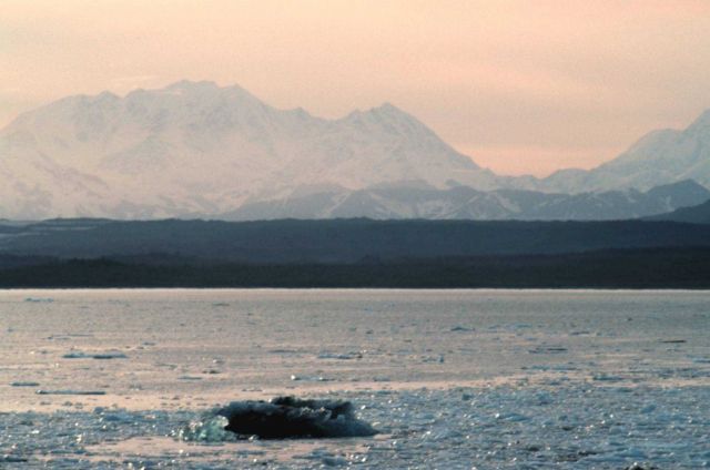 Upper Cook Inlet. Picture