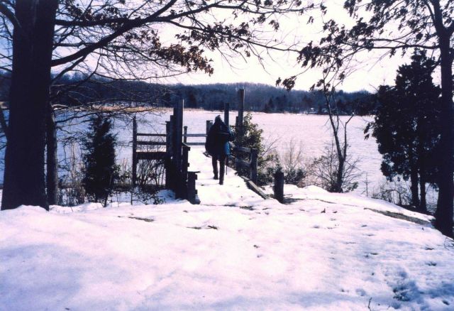 Winter along the Patuxent River. Picture