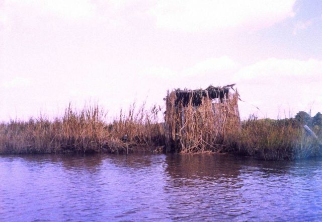 Duck blind. Picture