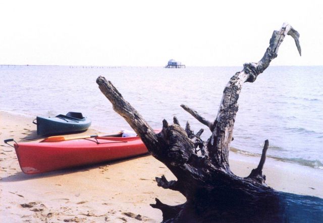 Kayaks on the beach at Chincoteague with a wonderful piece of driftwood. Picture